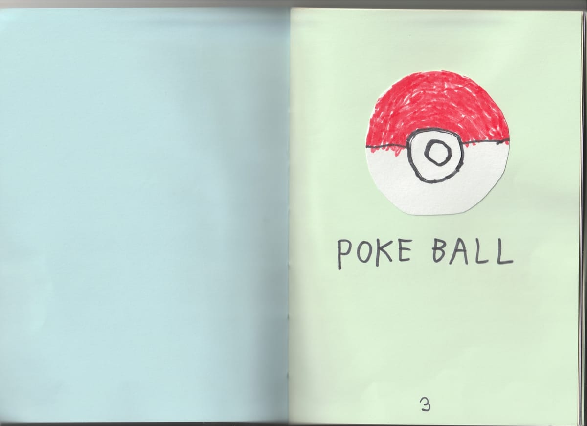 rodzaje-pokeballi-2-3